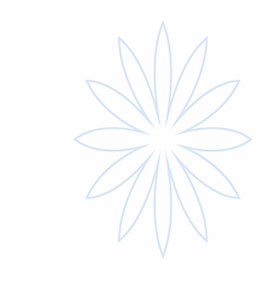问鼎PG· (国际)-官方网站